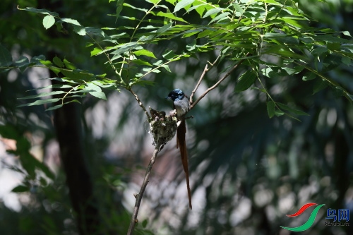DPP_1179.JPG
