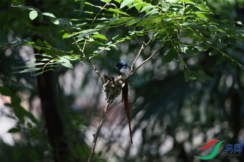 DPP_1177.JPG