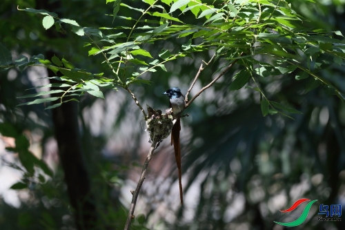 DPP_1183.JPG