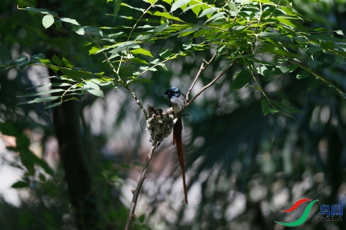 DPP_1182.JPG