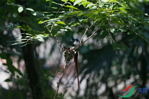 DPP_1190.JPG