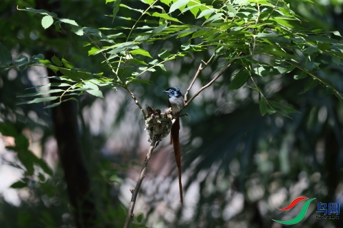 DPP_1193.JPG