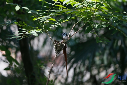 DPP_1194.JPG