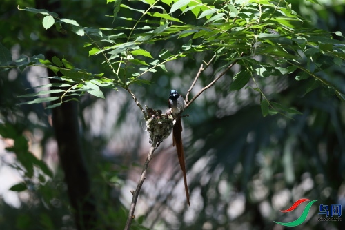DPP_1203.JPG