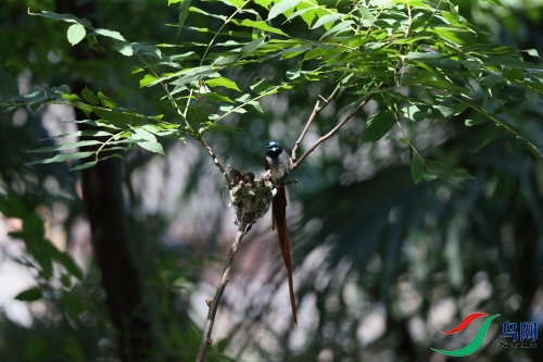 DPP_1205.JPG
