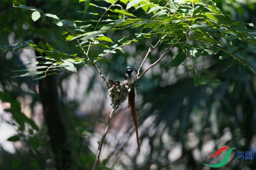 DPP_1206.JPG