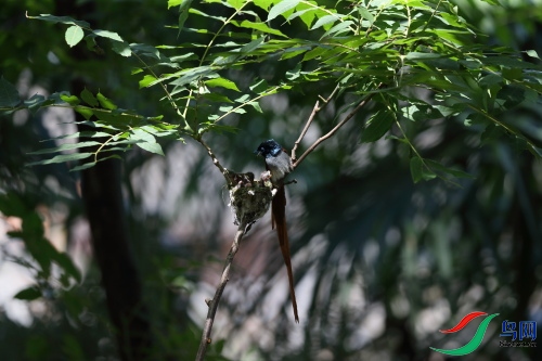 DPP_1219.JPG