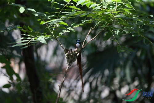 DPP_1229.JPG
