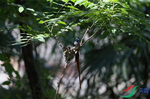 DPP_1227.JPG