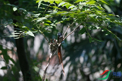 DPP_1236.JPG