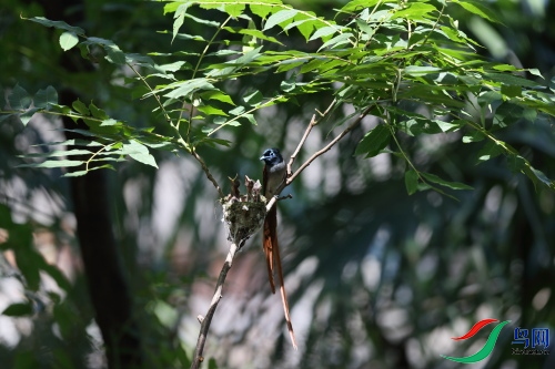 DPP_1235.JPG