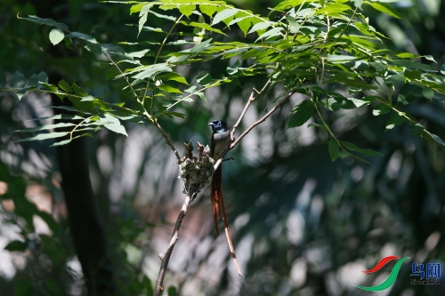 DPP_1242.JPG