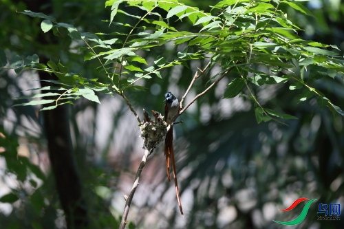 DPP_1251.JPG