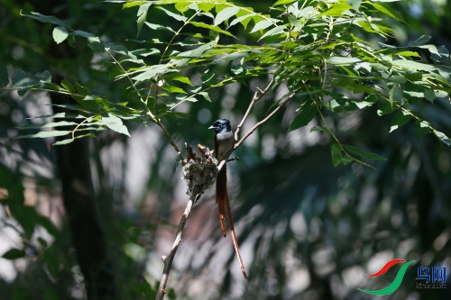 DPP_1254.JPG