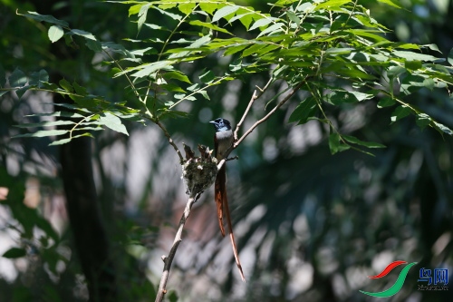 DPP_1264.JPG