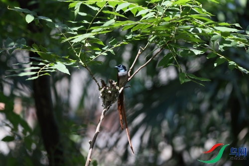 DPP_1261.JPG