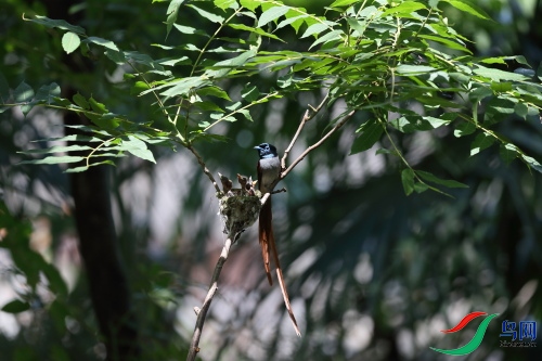 DPP_1269.JPG