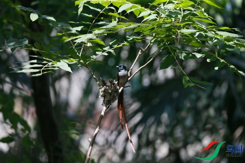 DPP_1266.JPG