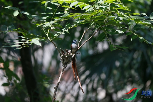 DPP_1274.JPG