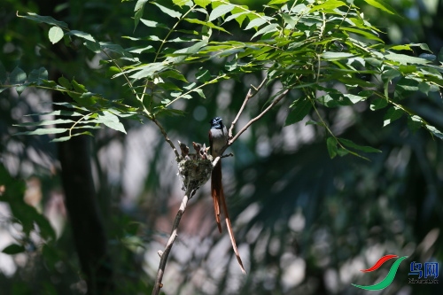DPP_1272.JPG
