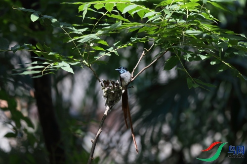 DPP_1301.JPG