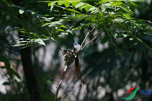 DPP_1304.JPG