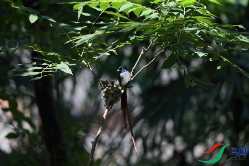 DPP_1313.JPG