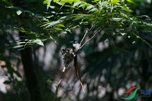 DPP_1312.JPG