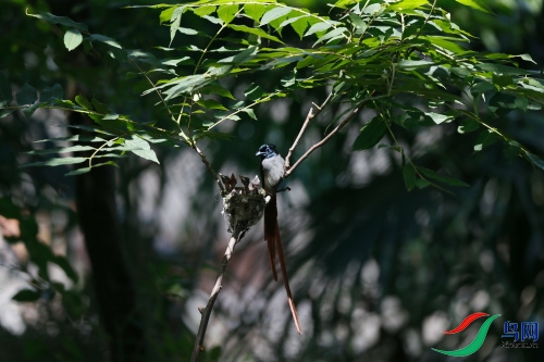 DPP_1314.JPG