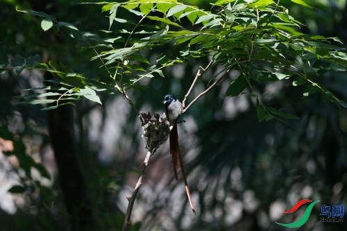 DPP_1318.JPG