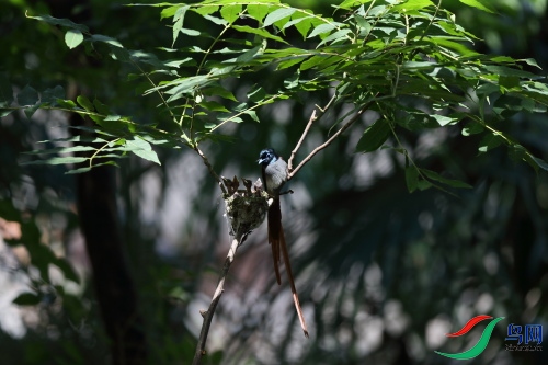 DPP_1317.JPG