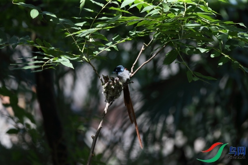 DPP_1331.JPG
