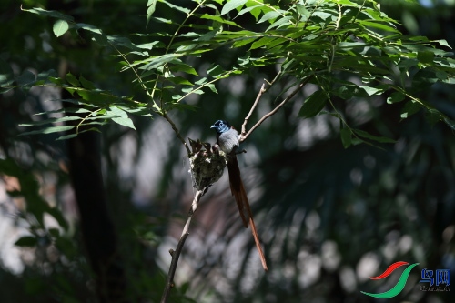 DPP_1335.JPG