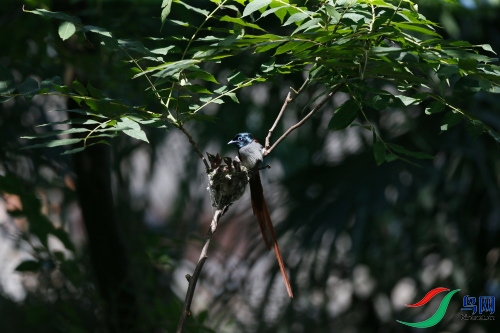 DPP_1338.JPG
