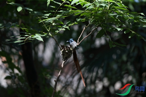 DPP_1337.JPG