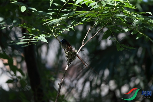 DPP_1349.JPG