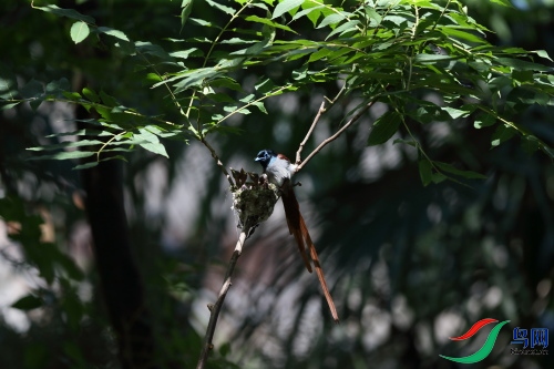 DPP_1345.JPG