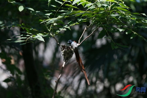 DPP_1346.JPG