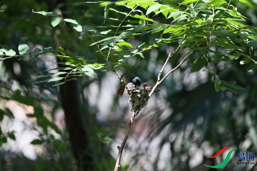DPP_1351.JPG