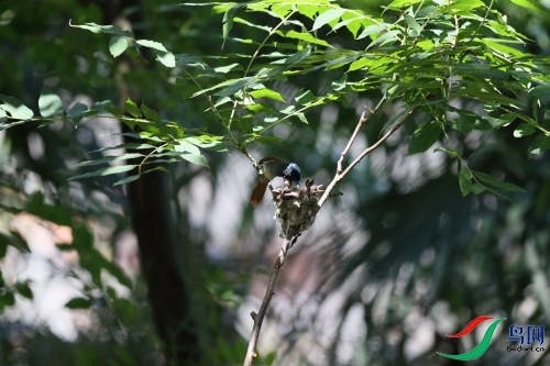 DPP_1353.JPG