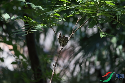 DPP_1361.JPG