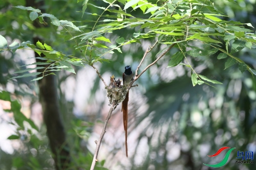 DPP_1379.JPG