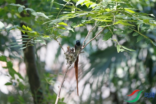 DPP_1378.JPG