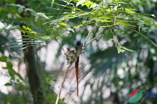 DPP_1386.JPG