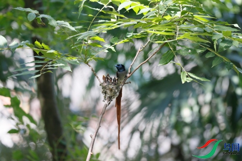 DPP_1394.JPG