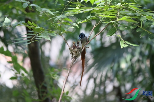 DPP_1411.JPG