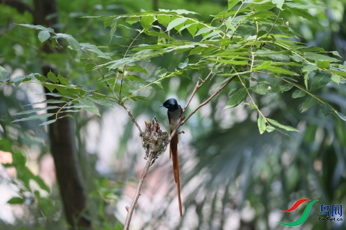 DPP_1423.JPG
