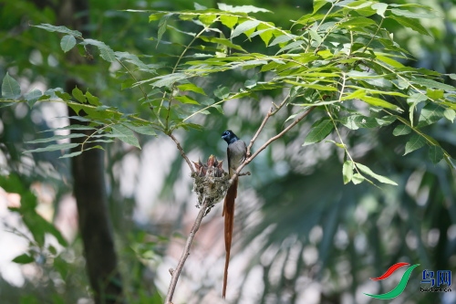 DPP_1520.JPG