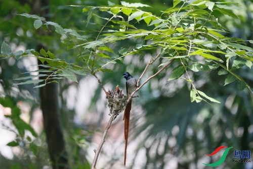 DPP_1518.JPG