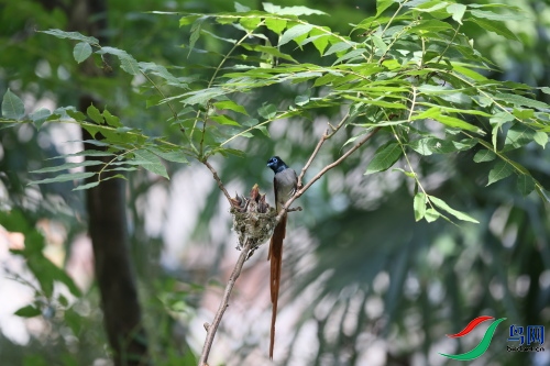 DPP_1517.JPG
